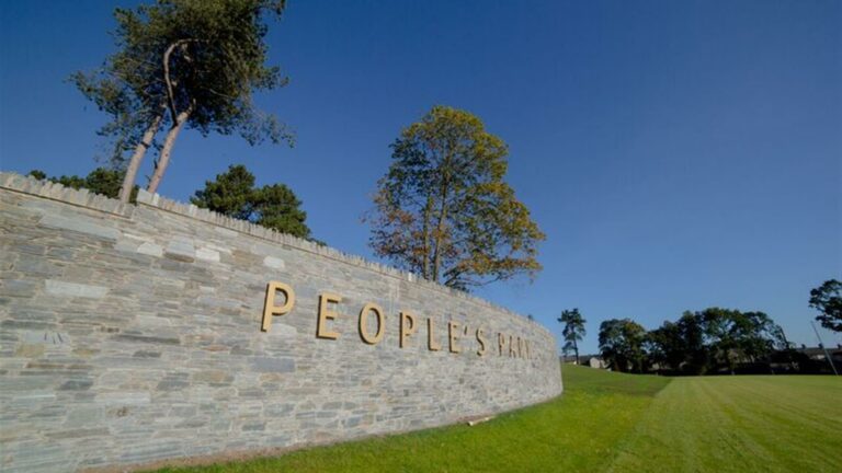 A view of the wall in Peoples Park In Portadown - Tree Surgeon Portadown