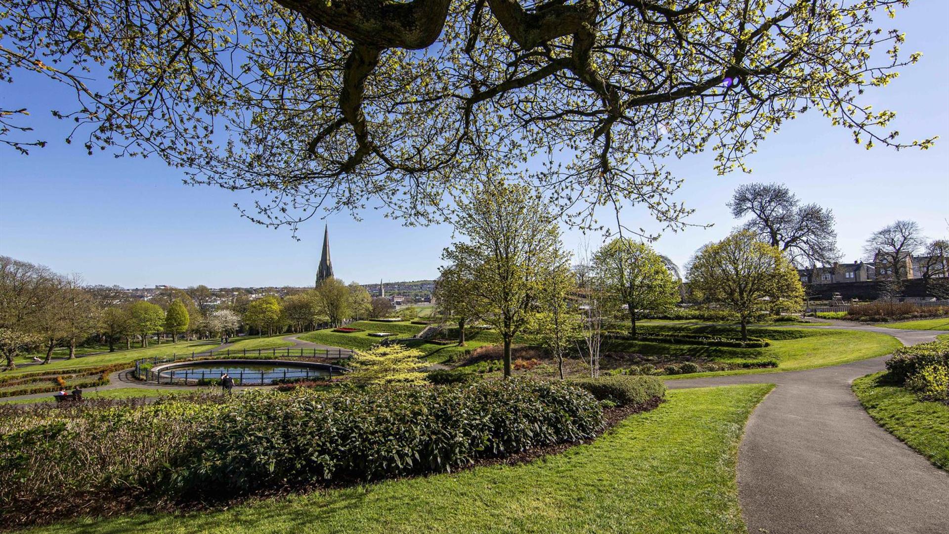Tree Surgeon Derry