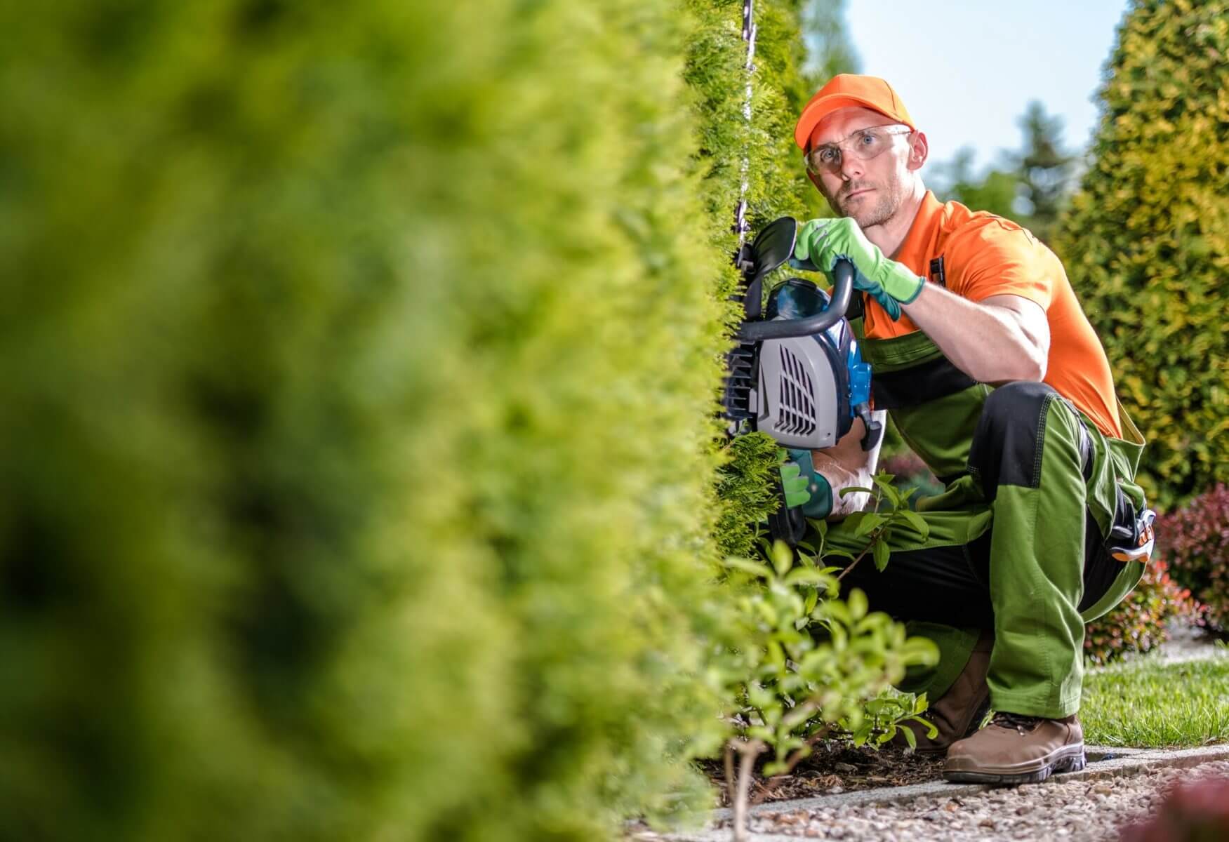 Hedge Trimming in Derry