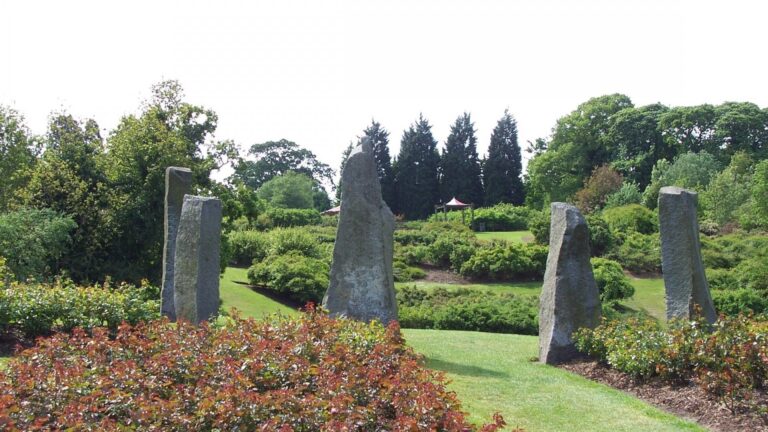 Sir Thomas & Lady Dixon Park - Tree Surgeon Lisburn