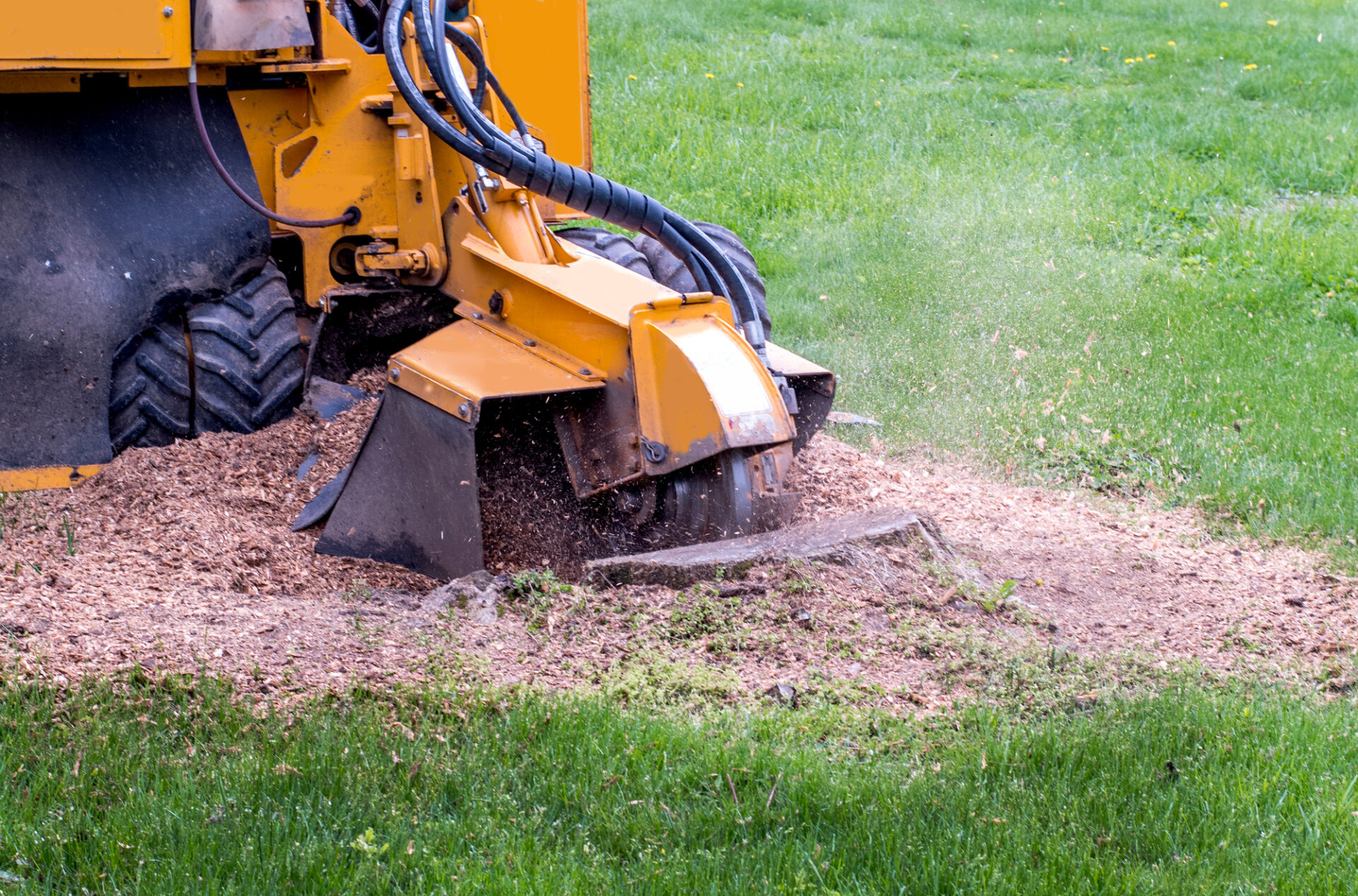 Stump Grinding in Derry