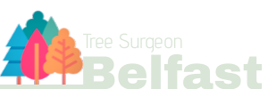 Tree Surgeon Belfast