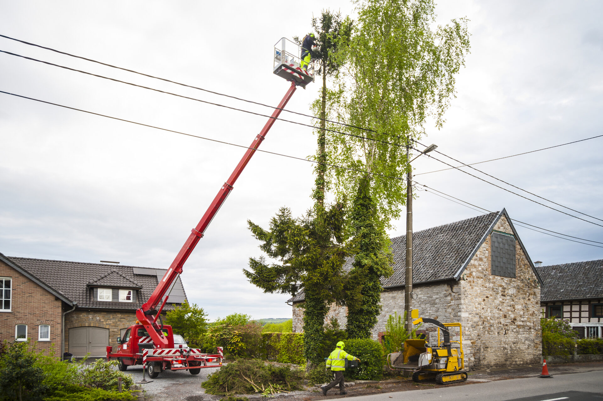 Tree Trimming in Derry