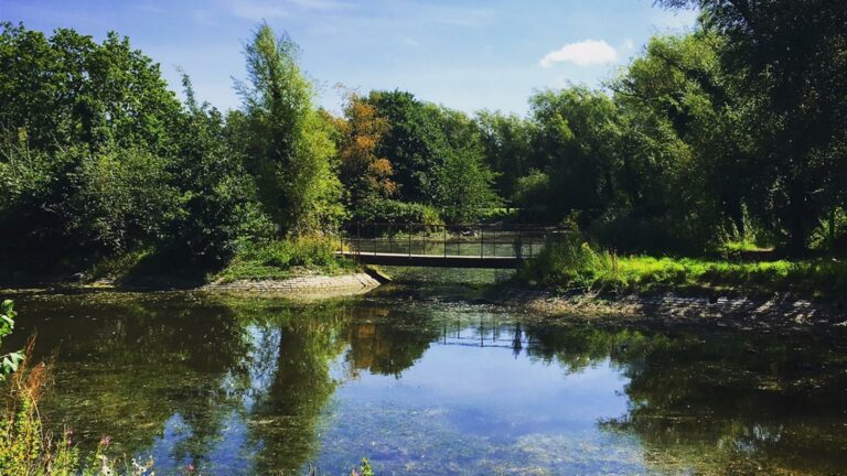 Victoria Park lakes and trees in Belfast