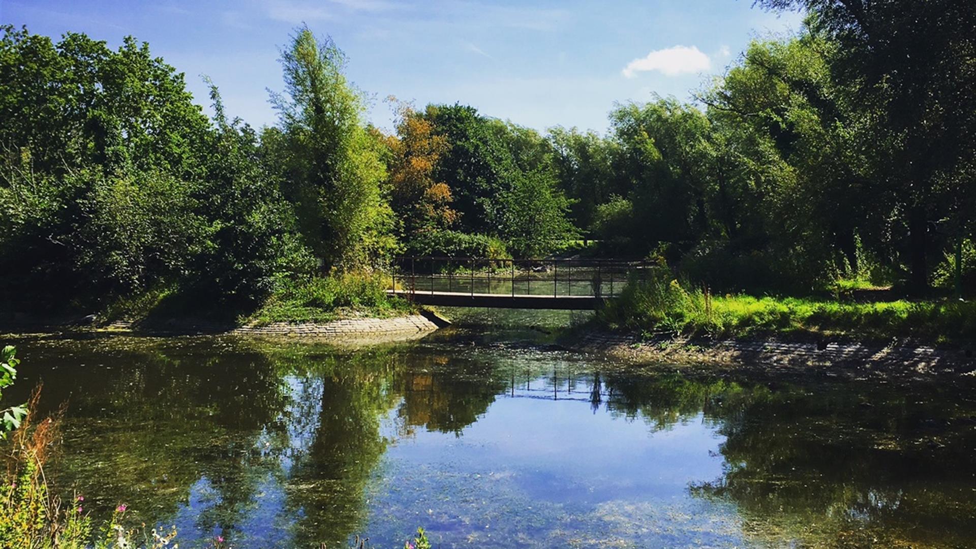 Victoria Park Lakes & trees in Belfast - Tree Surgeon Belfast