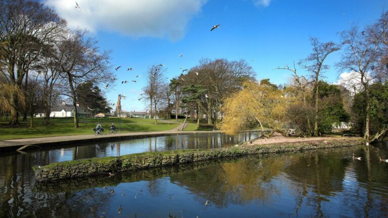 Ward-Park Lake & trees In Bangor Northern Ireland - Tree Surgeon Bangor
