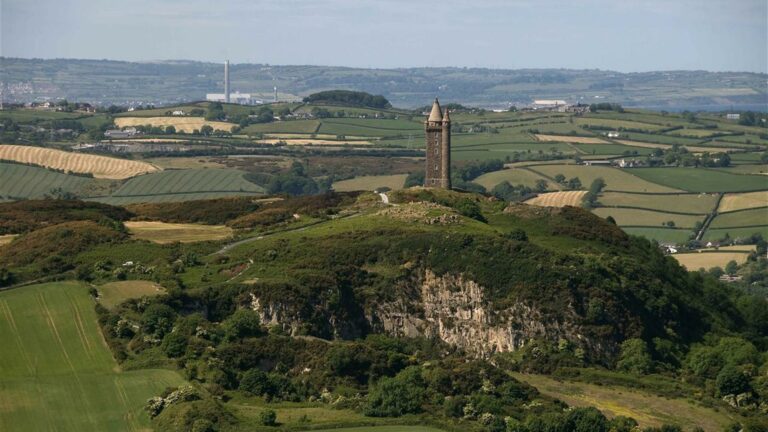 Scrabo country park in Newtownards - Tree Surgeon Newtownards